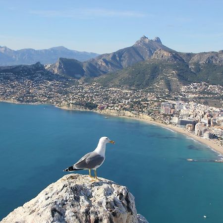 Hostal Bahia Alicante La Condomina Екстер'єр фото